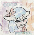 Cute Tiny Coco