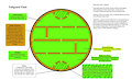 Basic Fallguard Field and Rules