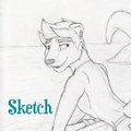 Sammy Sketch (v.2) by BunnyfoxDesigns