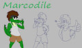 Updated Ref of Marcodile