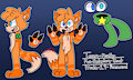 Teven FoxHog Reference Sheet