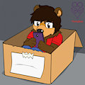 Bear in a box