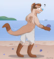 ($) Beach Otter Transformation