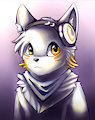 cute fox kemono style