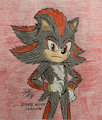 Sonic Movie Shadow