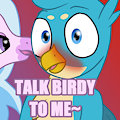Talk Birdy to Me~