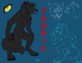 Varric Lonewolf Character Sheet by Blacktiger