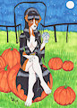 Halloweek! 1: Mistress' Pumpkin Patch by Dreadwolfclaw