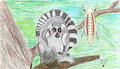 Ring-tailed Lemur Tribal Warrior