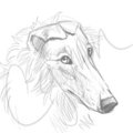 Esca Icon Sketch