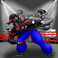Almost a knockout. by BradleyCorreia