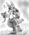 Lucario Walkies