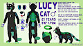 .: Lucy Reference Sheet 2019 :.