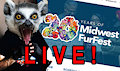 Midwest Furfest 10 yrs Videos and Live chat