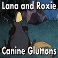 Lana and Roxie Canine Gluttons ch2