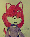Luna the Husky