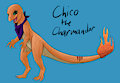 Chico the Charmander