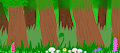 Forests background