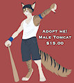 Adopt me! Male Tomcat