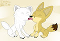 Arctic x Fennec Fox