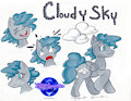 Comm: Cloudy Sky by KSapphire8989