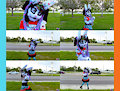 :) Zoe the football dress Collage, zoe (new version)- INTROPHAZE by IntroPhaze