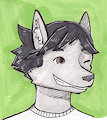 Icon for Wulff
