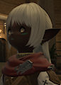 Final Fantasy 14, Lalafell on Primal server