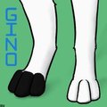 Paw Day Icon for Gino