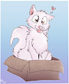 *C*_Wolf in a box!