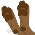Paws, Free to Color by WolfLadyRoxy by lingling