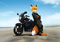 A Fox and his Bike by Foxhound824