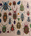 Color Study - Gem Beetles