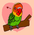 lovebird love