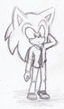 Sonic :D 
