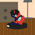 Jesse Cat Pony on a Roomba