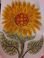 Gem Sunflower