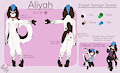 Aliyah Ref Sheet 2020 by AliyahPup