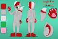 Knight Fire Ref Sheet by ChaoticBiscuit
