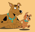 Scooby and Scrappy Doo