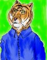 color practice tiger 1