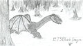 23. Dragon, Chromatic (Black)