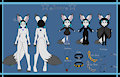 Reference Sheet - Star