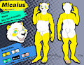 Micaius Ref Sheet