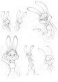 Judy Hopps Sketches by dazzlekong