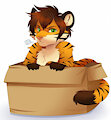 *My* Box!