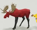 Red Moose by dearshul