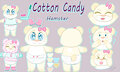 Cotton Candy the Hamster Reference Sheet by DanielMania123