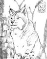 Eurasian Lynx in the Woods by gamepopper