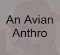 An Avian Anthro